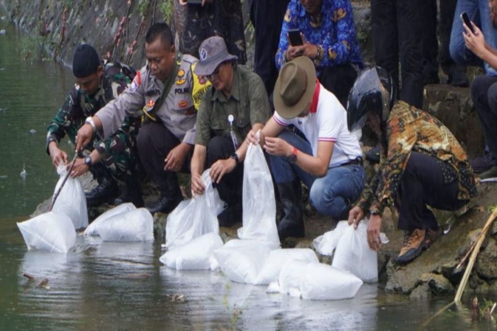 Gunungkidul tebar benih ikan di empat telaga jaga&nbsp;ekosistem
