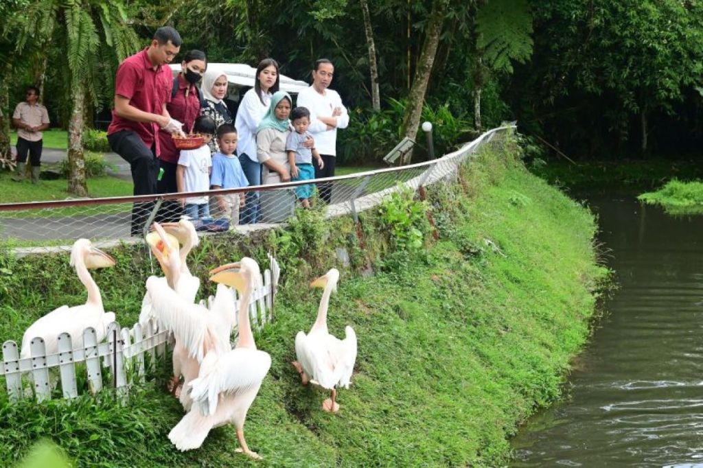 Jokowi mengajak cucu berwisata pengenalan&nbsp;satwa