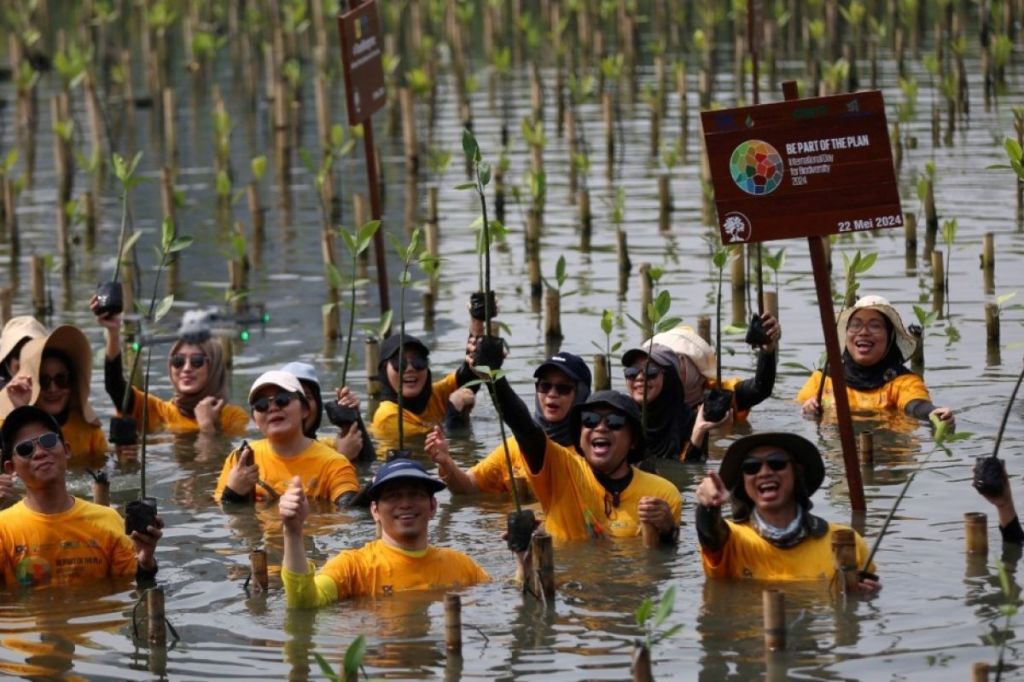 Peringati Hari Keanekaragaman Sedunia, ABM Group libatkan 100 volunteers tanam 600&nbsp;pohon