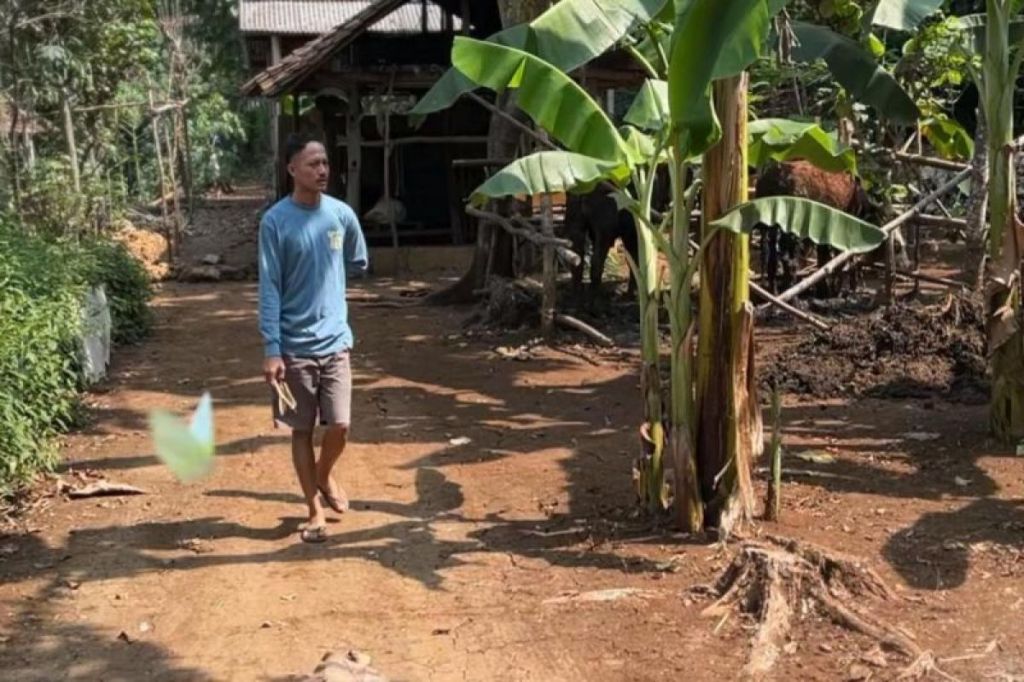 DLH Gunungkidul mengembalikan habitat monyet agar tidak masuk&nbsp;permukiman