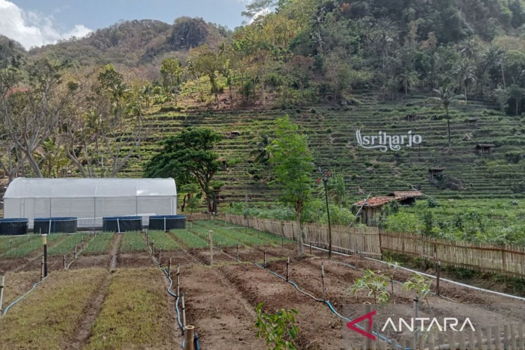 Desa Wisata Sriharjo Bantul tawarkan pemandangan keindahan alam dan&nbsp;sungai